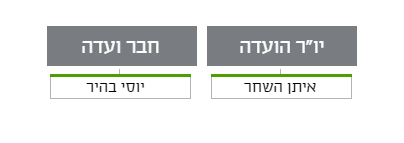 ועדת ביקורת