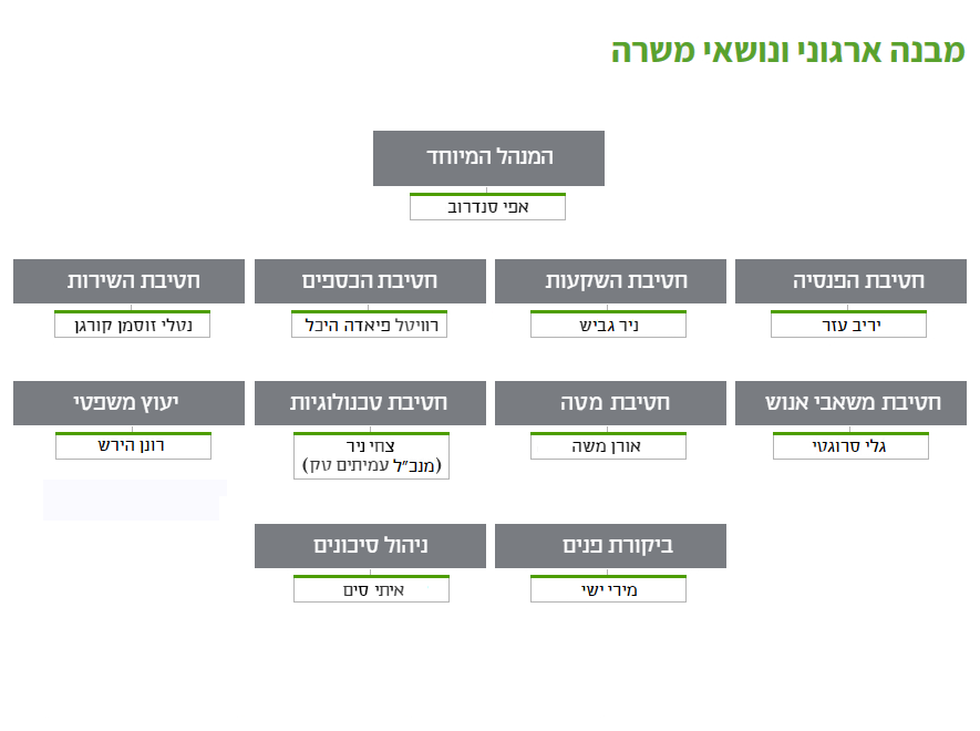 מבנה ארגוני