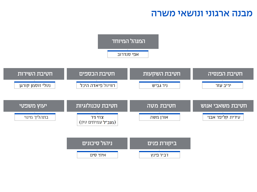 מבנה ארגוני