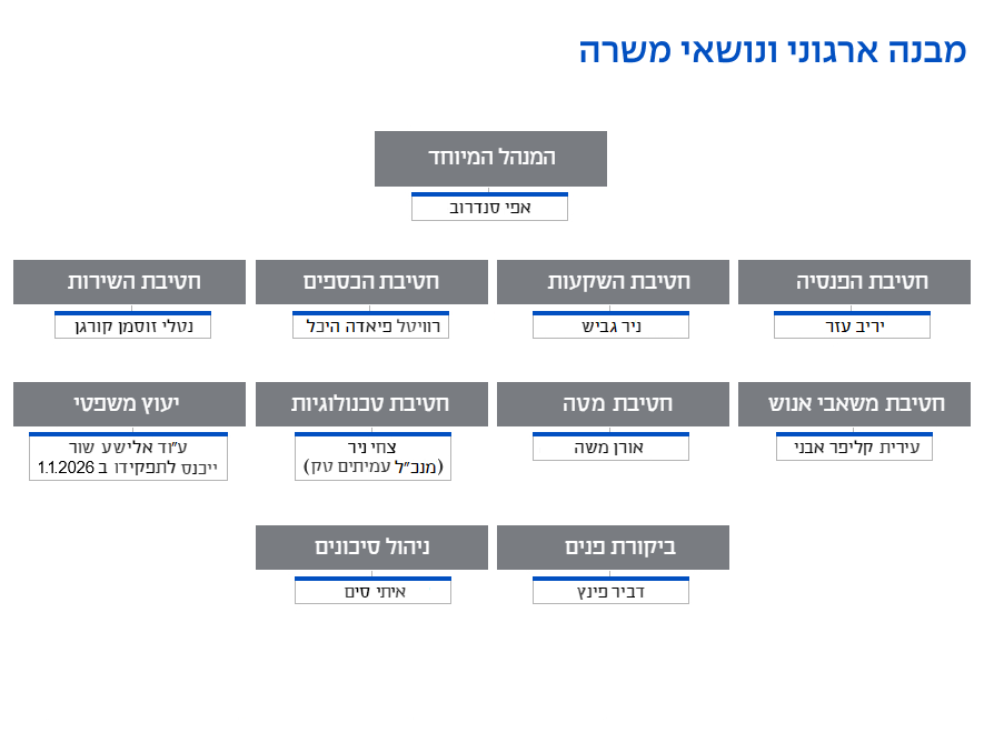 מבנה ארגוני של הארגון